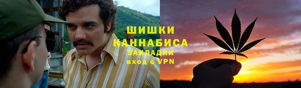 сатива Армянск