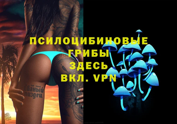 герыч Арсеньев