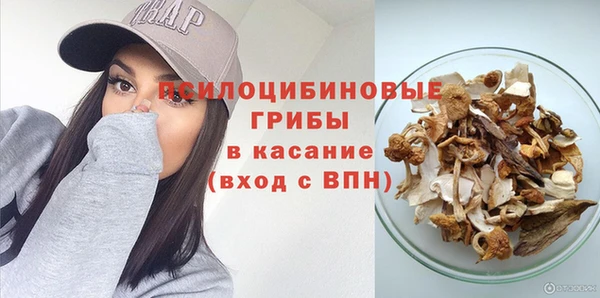 сатива Армянск